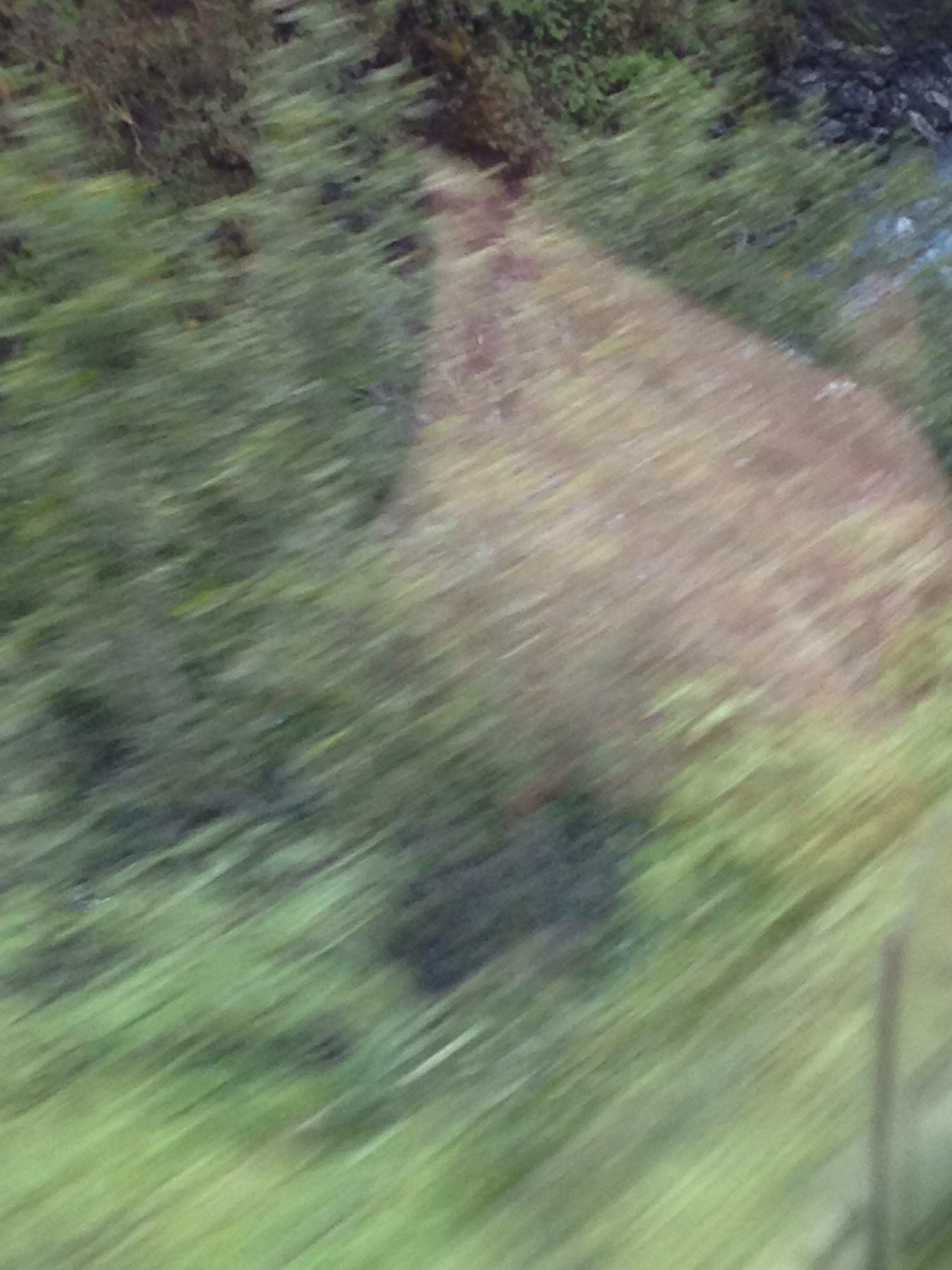 Click to return to the thumbnail index